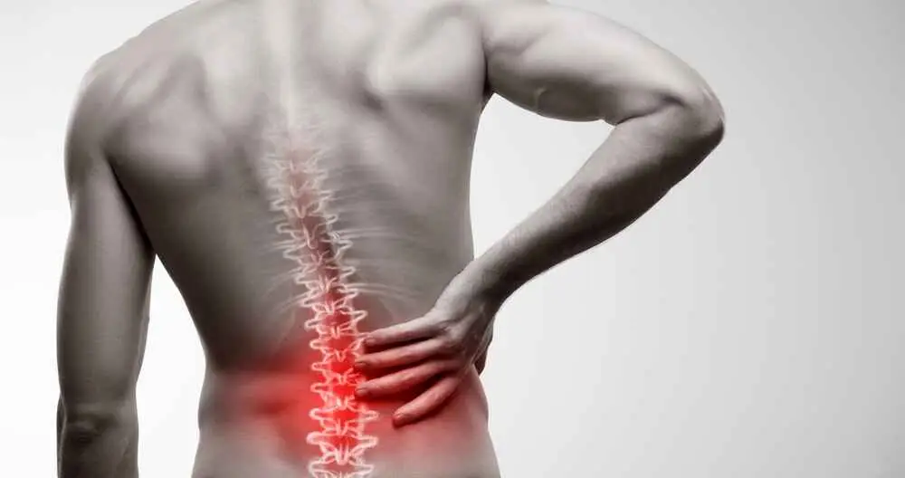Physiotherapy and Low Back Pain: A Key Partnership for Recovery