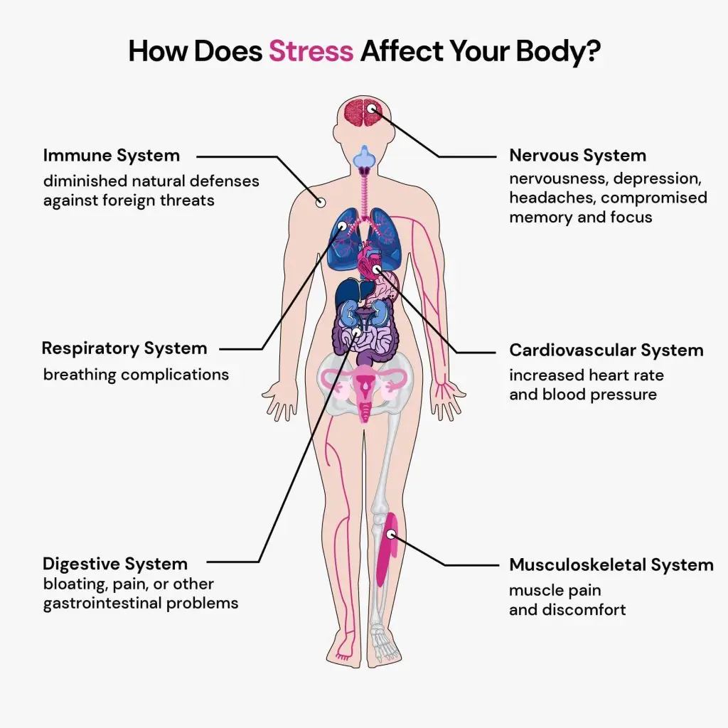 stress